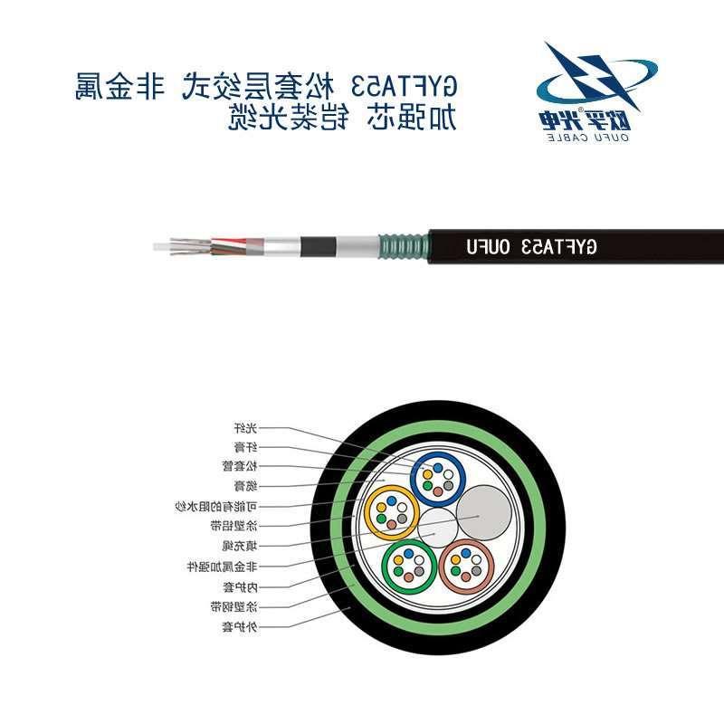 儋州市GYFTA53光缆