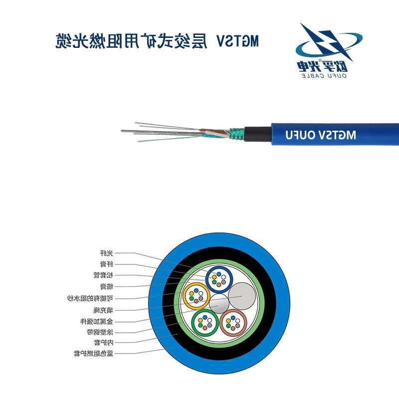 大理白族自治州MGTSV光缆